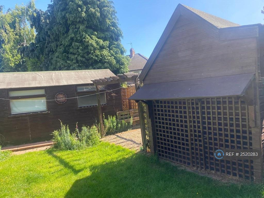 Back Garden