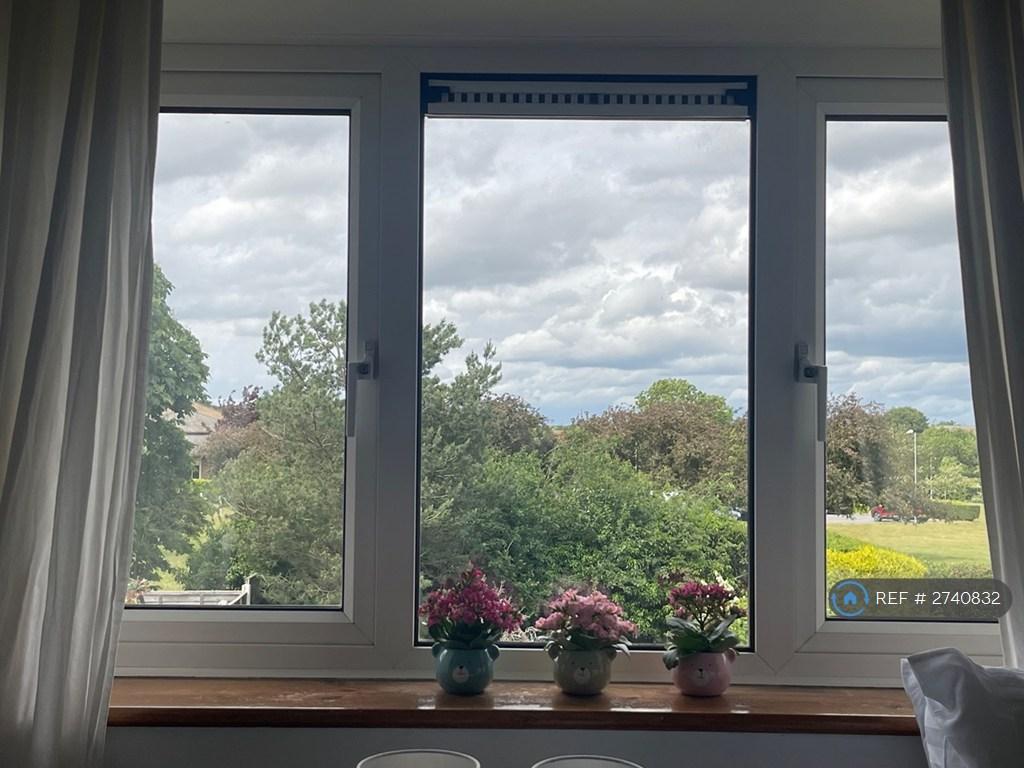 View From Back Bedroom