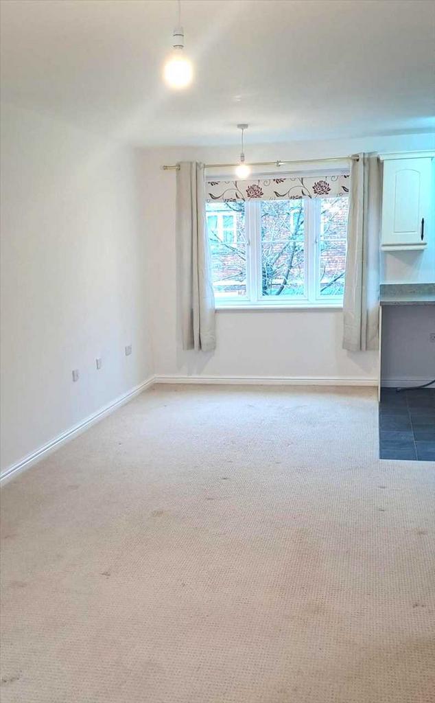 Open plan kitchen