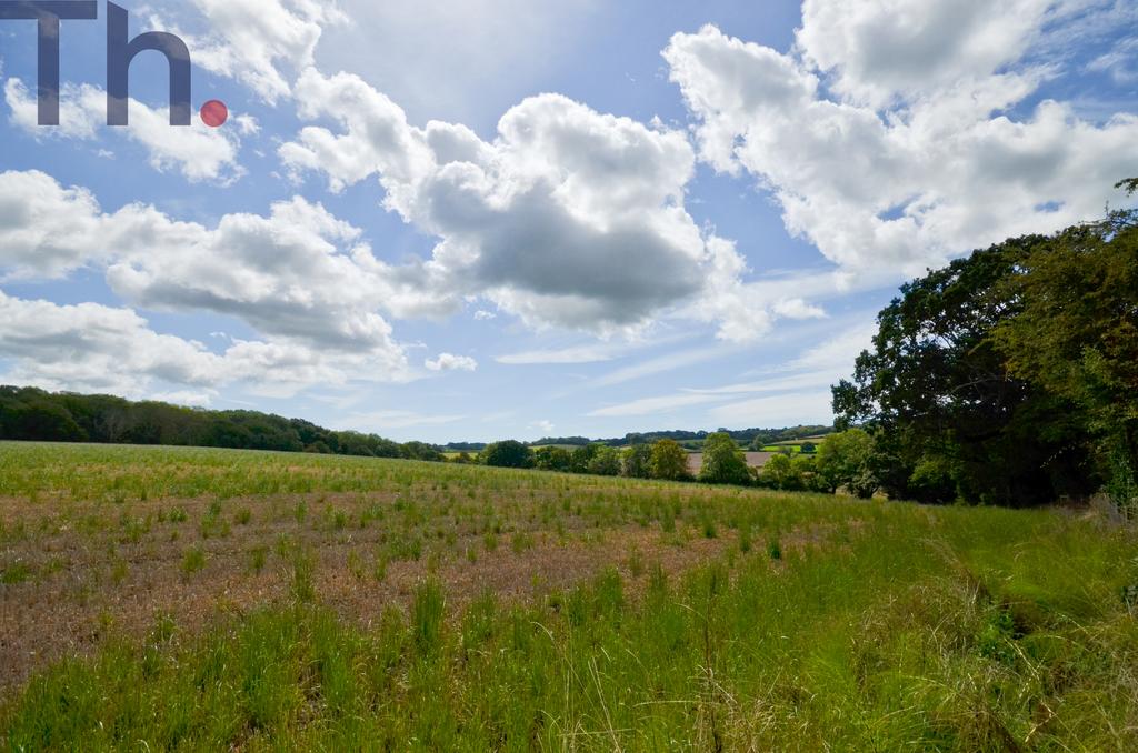 Country Park Opposite