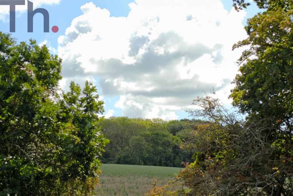 Countryside Views