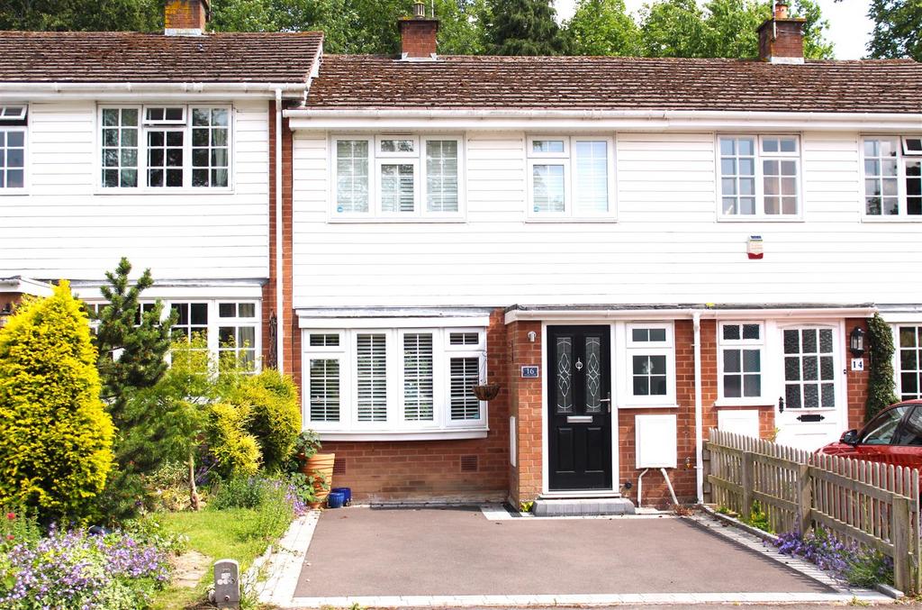 Img 4446.jpg