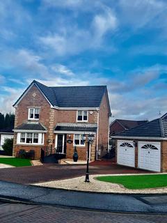 undefined, Shiel Drive, Larkhall, Lanarkshire, ML9