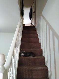 3 bedroom house to rent, Swete Street, London E13