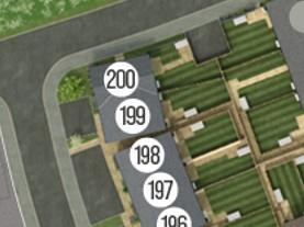 199.jpg