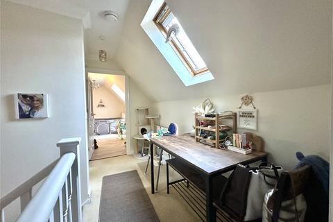 undefined, Badger Sett, Blandford St. Mary, Blandford Forum, Dorset, DT11