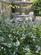 Fountainhall Road photo 5
