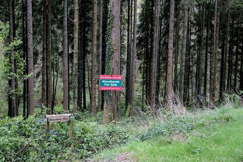 undefined, Beeching Way, Stoodleigh EX16