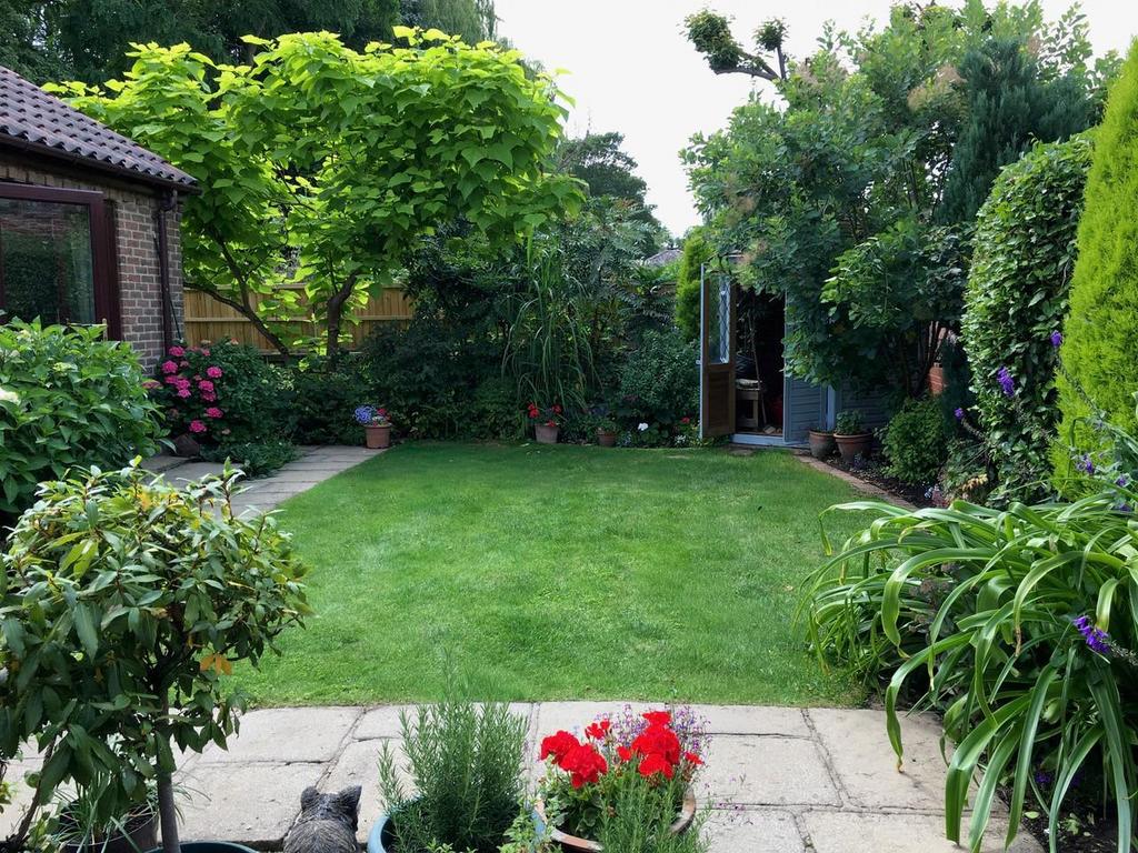 Garden Summer