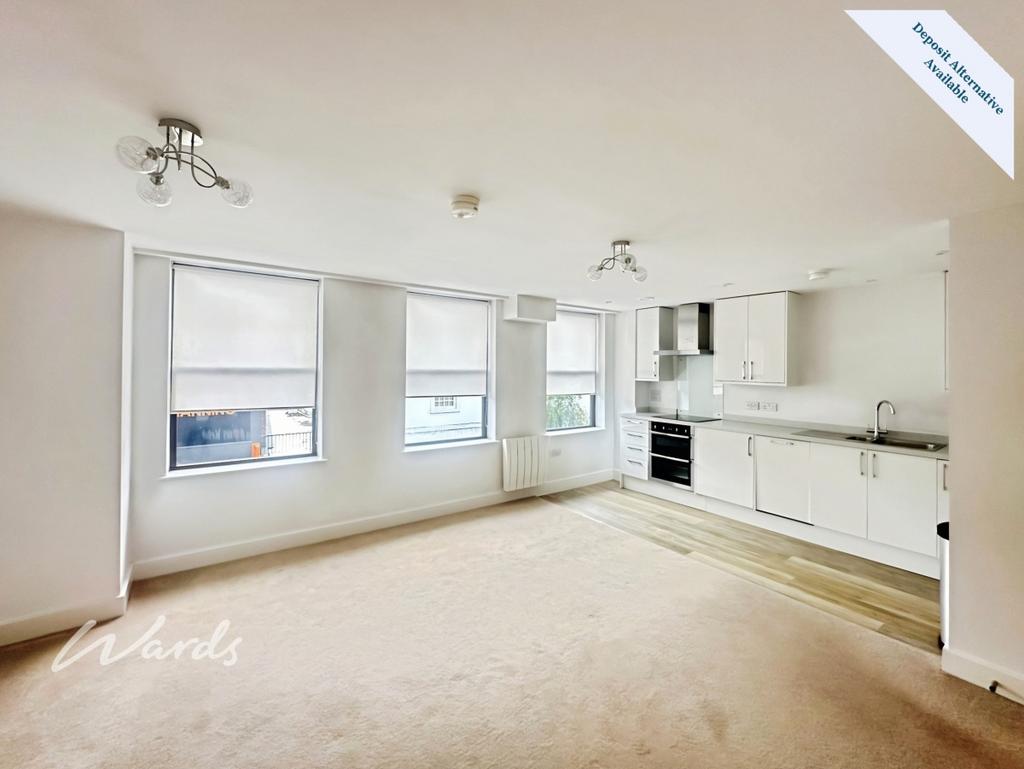 Kitchen/Living Room