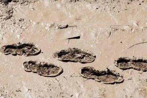undefined, Muddy Boot Walk, The Grange, Cheltenham GL54