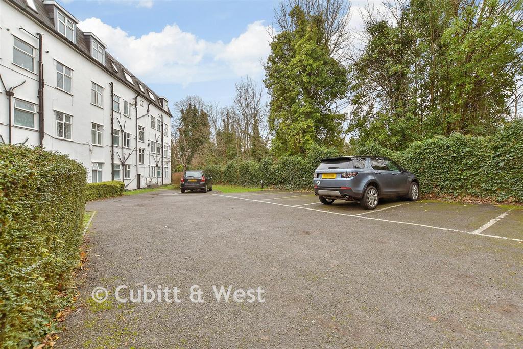 Driveway/Parking