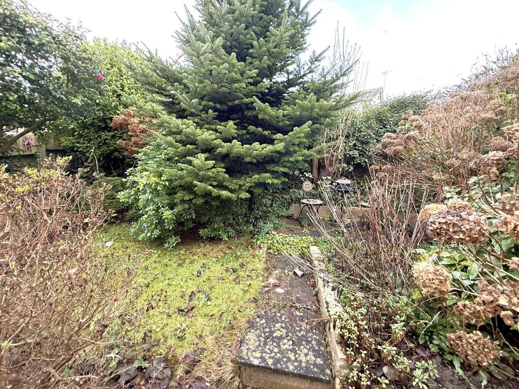 Garden 2.jpeg