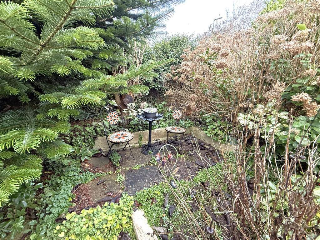 Garden 3.jpeg