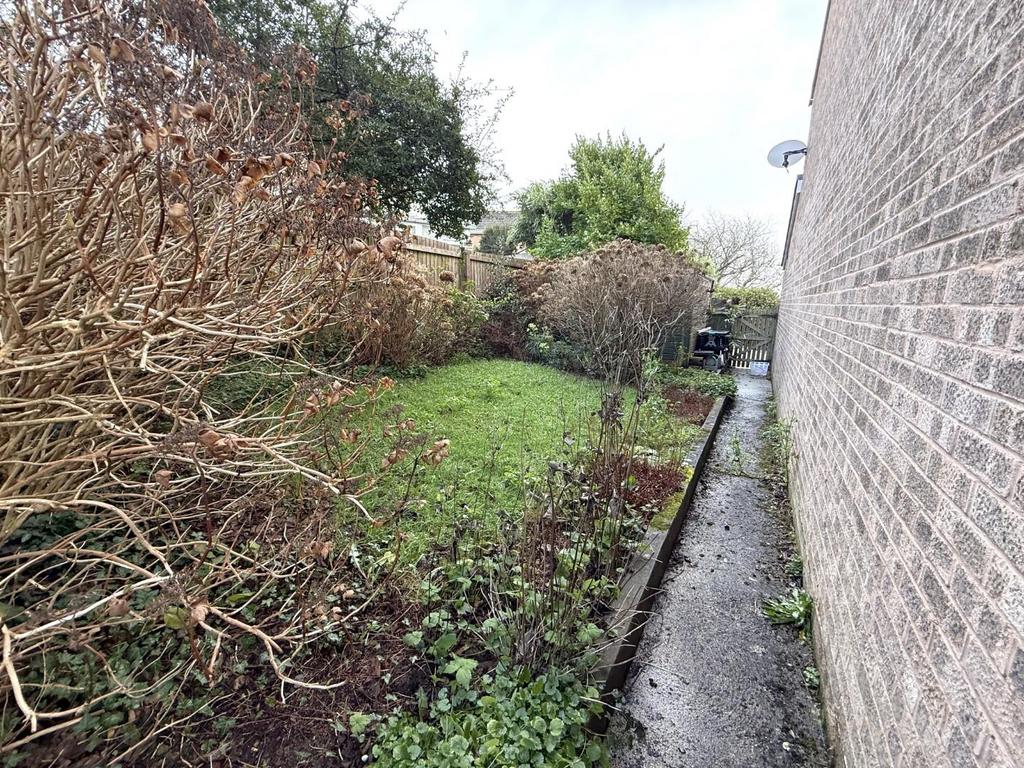 Garden 4.jpeg