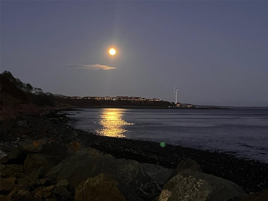 Winter Moon