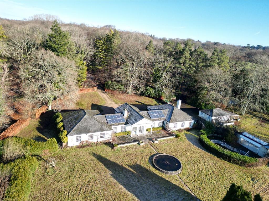 Aerial Rear