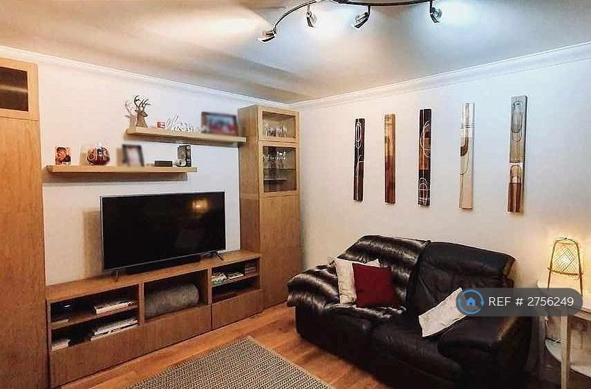 Living Room (When Furnished)