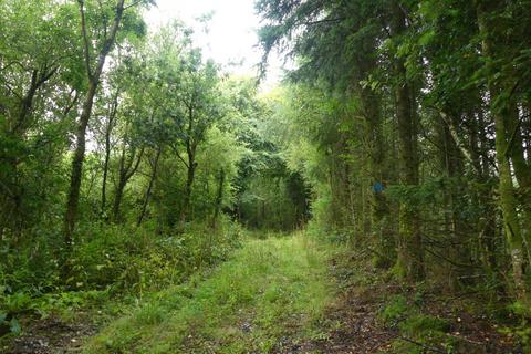 Woodland for sale, Coed Crib, near Nantgaredig, Carmarthenshire SA32