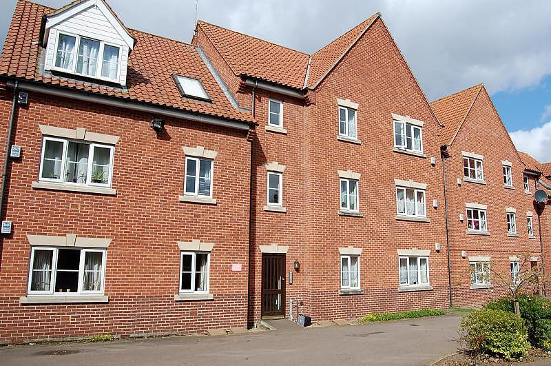 Main Image  (Main)