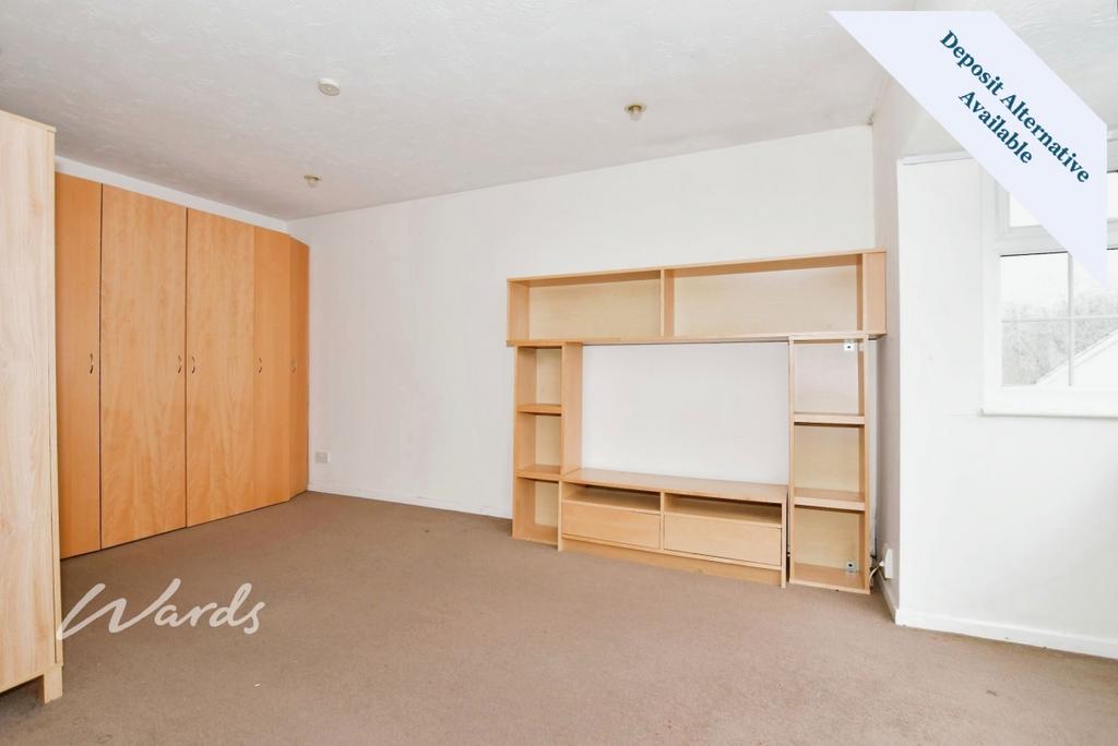 Living/Bedroom Area