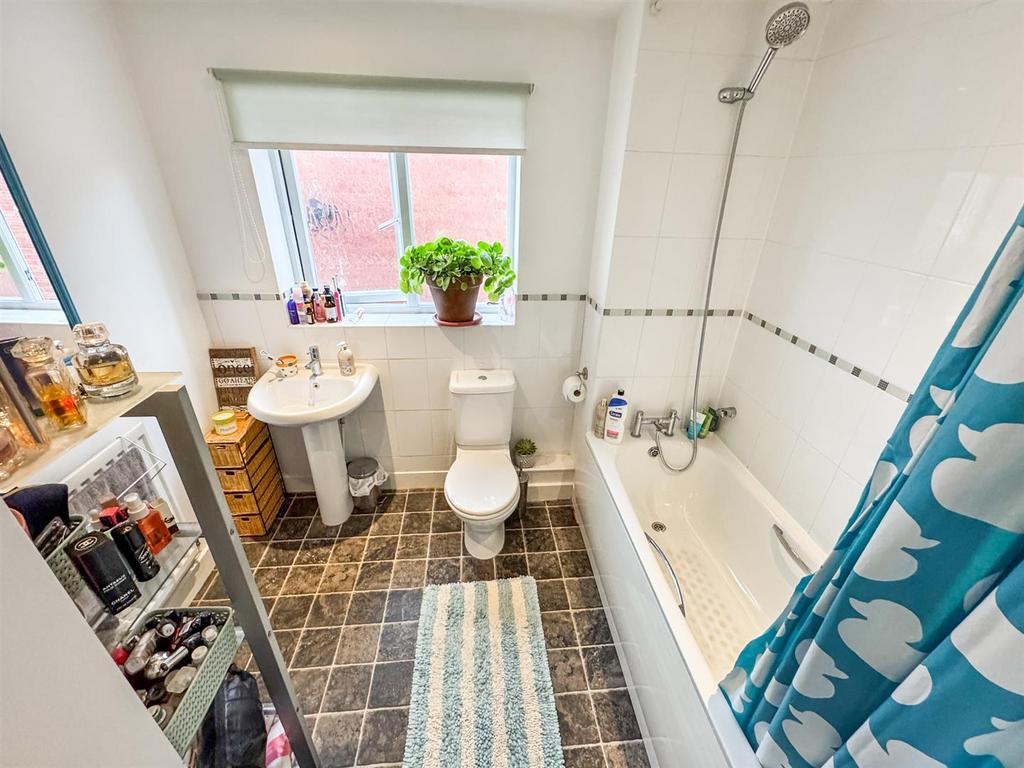 IMG 0480.jpg