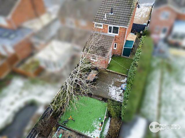 AERIAL2.jpg