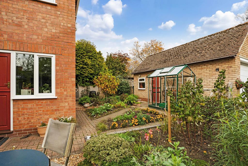 Back garden