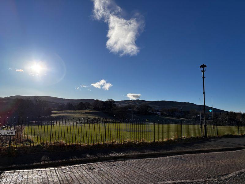 View from the yard
