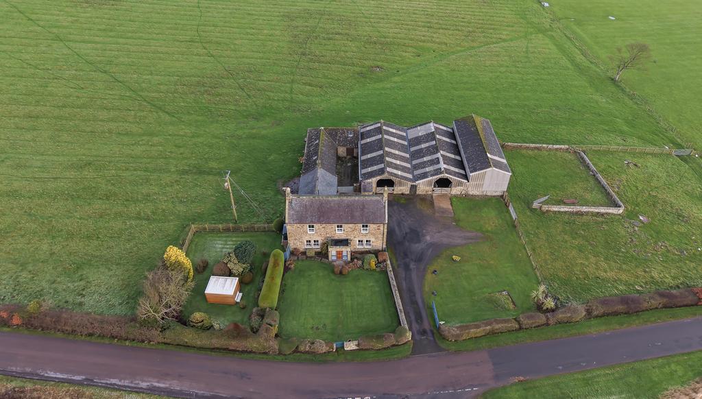 DJI 20260114094708 0087 D T202601141946.jpg