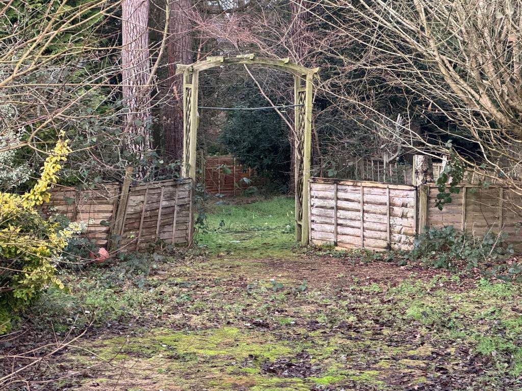 Garden 2