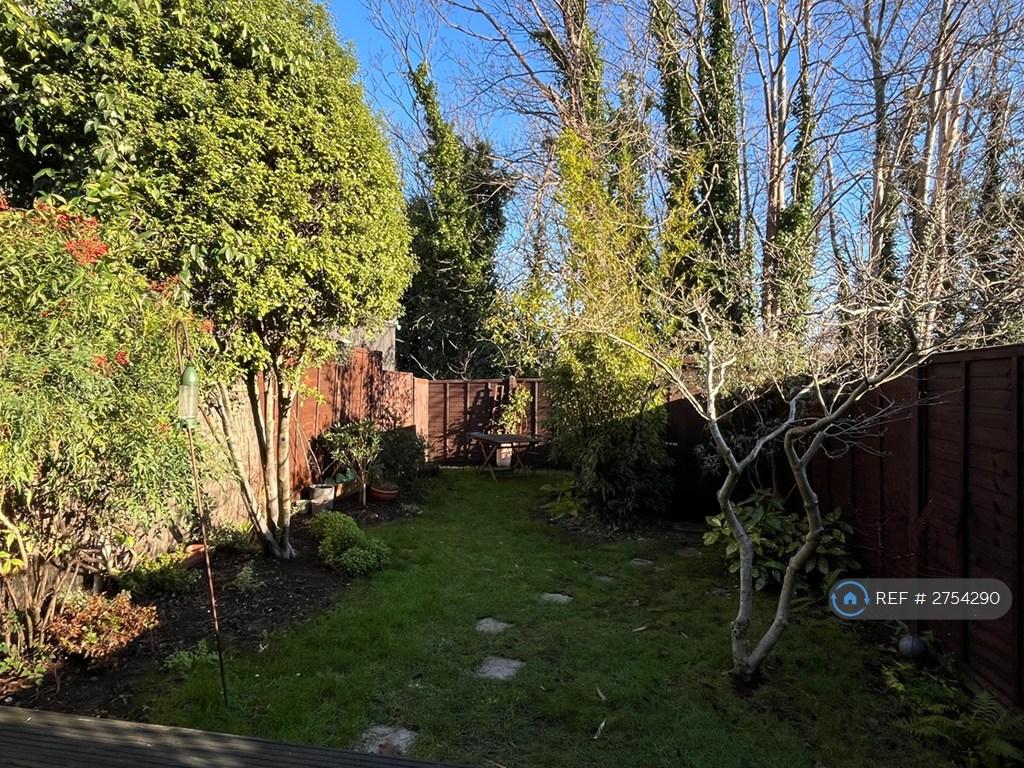 Back Garden In Winter