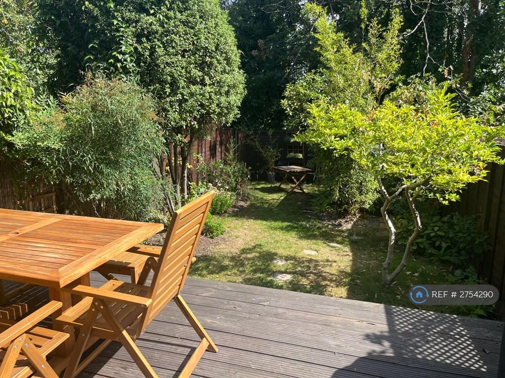 Back Garden In Summer