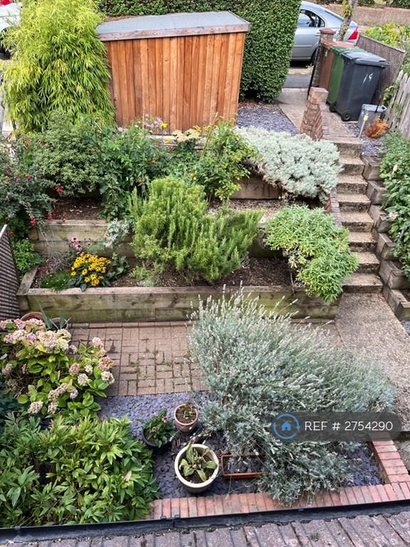 Front Garden In Summer