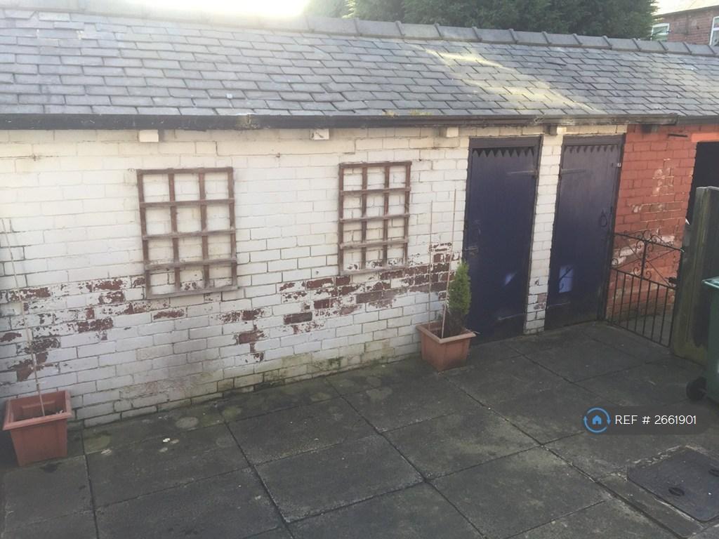 Rear Yard And Sheds