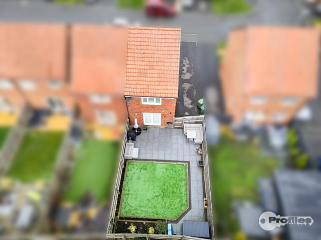 AERIAL 1.jpg