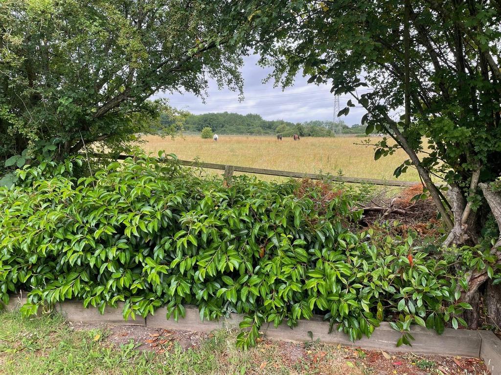 100 Dellsome Garden view.jpg