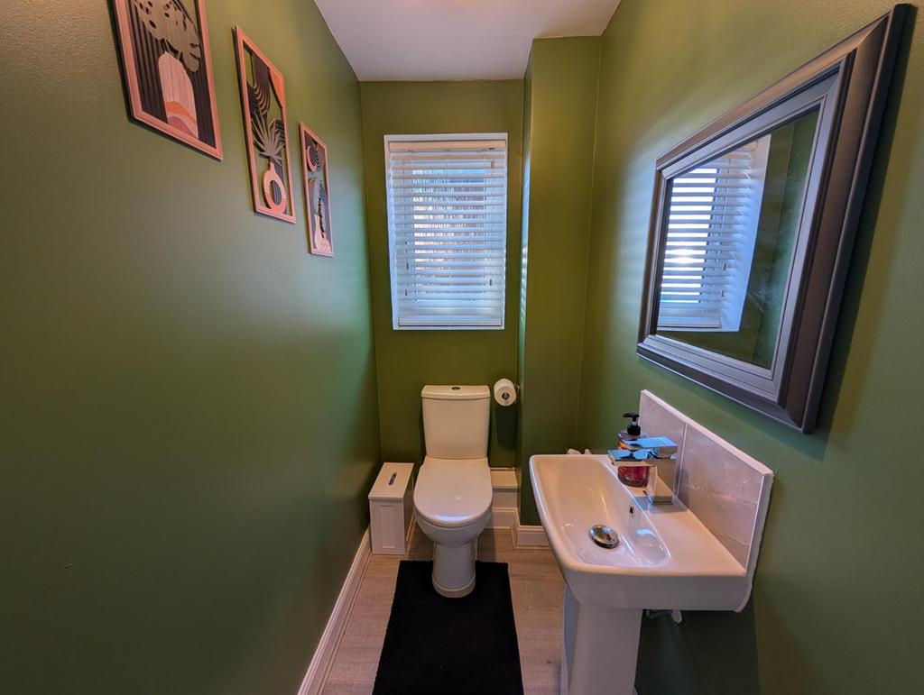 Picture 5