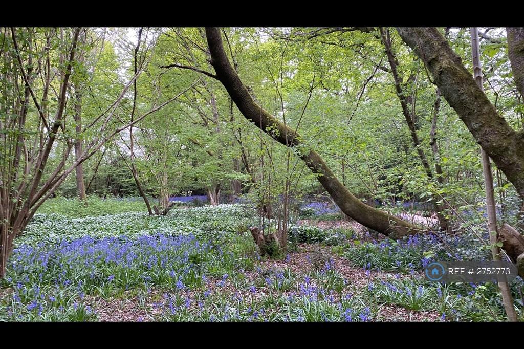 Woodland Gardens