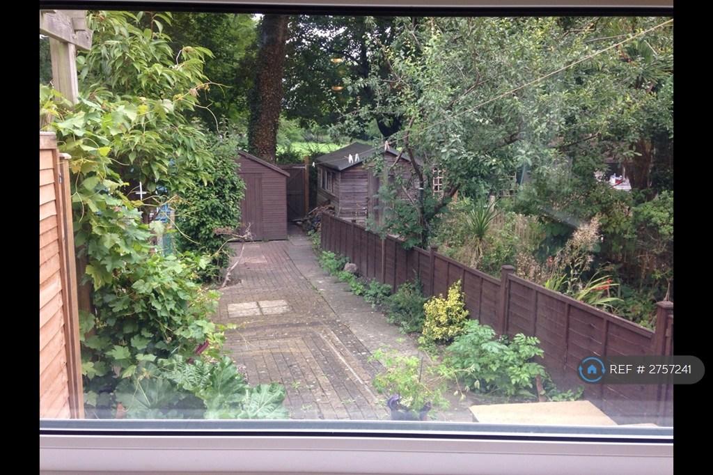 View From Kitchen