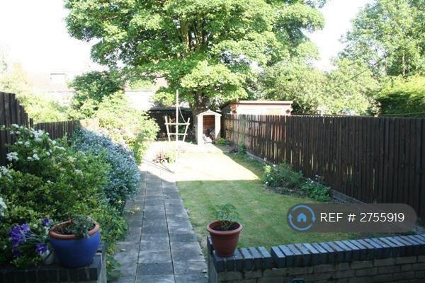 Back Garden