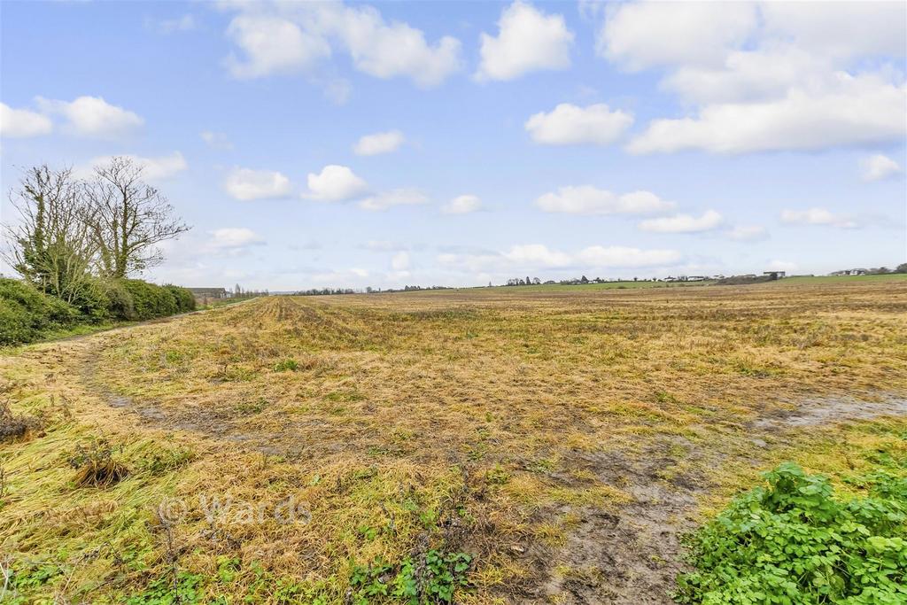 Surrounding Area