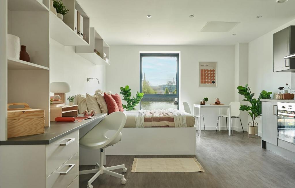 Screenshot 2024-11-20 192739.jpg