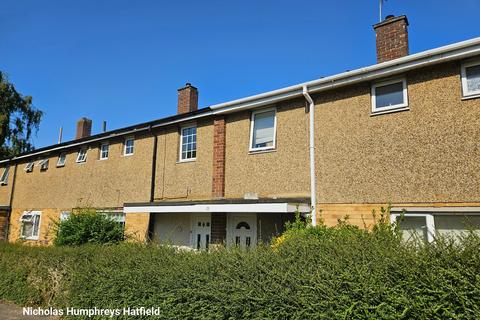 undefined, Cheviots, Hatfield AL10