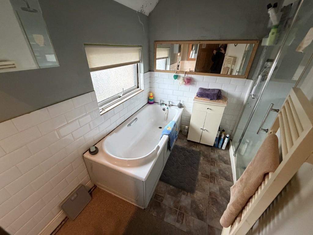 16  Medium  T202601151524.jpg