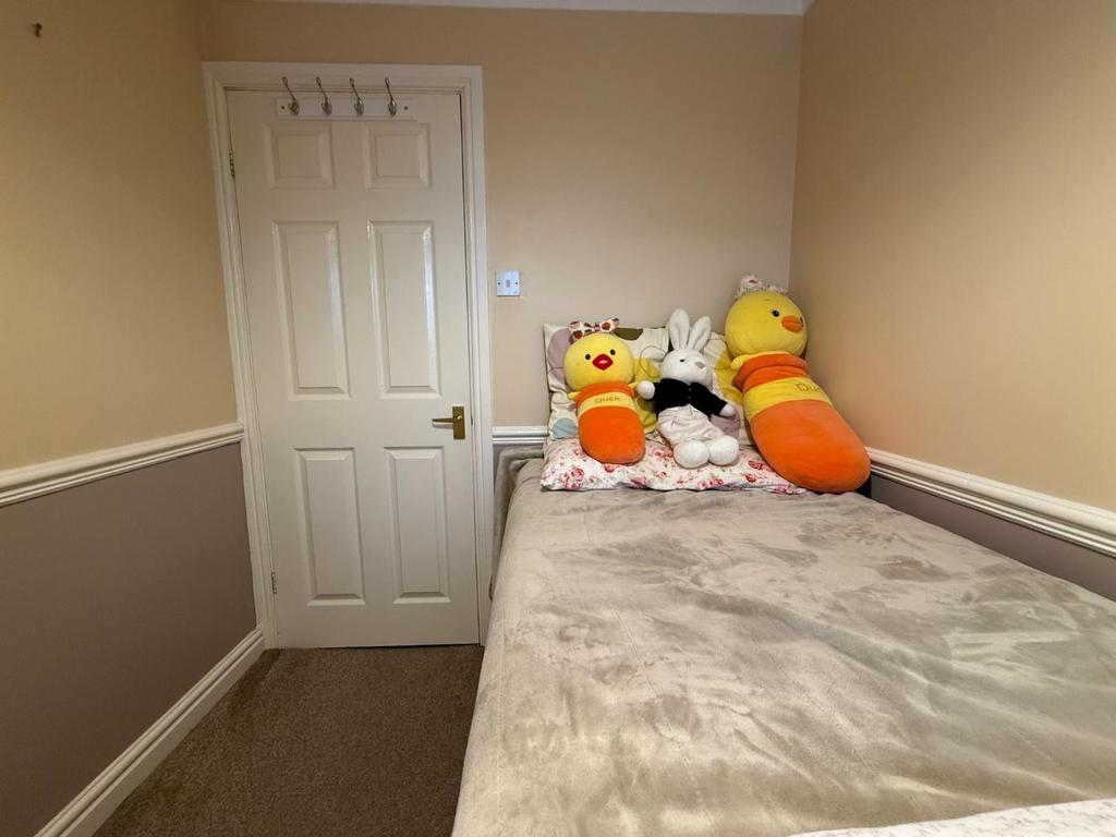 Img 7730.jpg