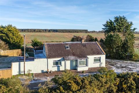 undefined, Hawthorn Dean, Coldingham Moor, Coldingham, TD14