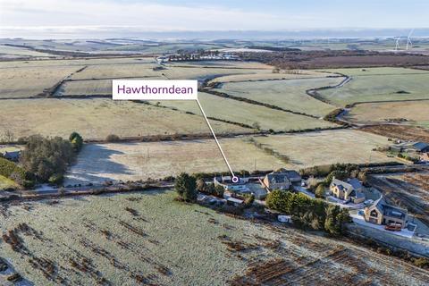 undefined, Hawthorn Dean, Coldingham Moor, Coldingham, TD14