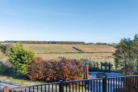 undefined, Hawthorn Dean, Coldingham Moor, Coldingham, TD14