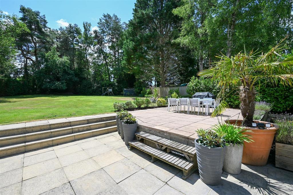 Garden 7.jpg
